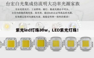 紫光led灯珠30w，LED紫光灯珠！