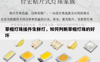 草帽灯珠插件生鲜灯，如何判断草帽灯珠的好坏
