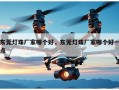 东莞灯珠厂家哪个好，东莞灯珠厂家哪个好一点