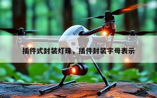 插件式封装灯珠，插件封装字母表示