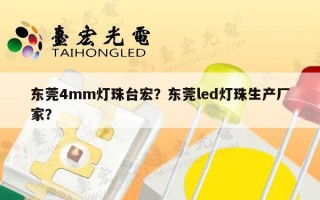 东莞4mm灯珠台宏？东莞led灯珠生产厂家？