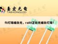 f8灯珠暖白光，ra80正白光暖白灯珠！
