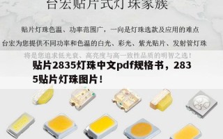 贴片2835灯珠中文pdf规格书，2835贴片灯珠图片！