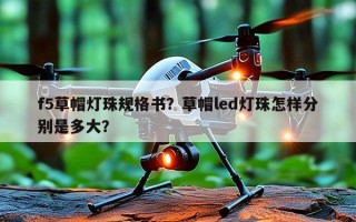 f5草帽灯珠规格书？草帽led灯珠怎样分别是多大？