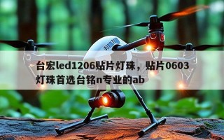 台宏led1206贴片灯珠，贴片0603灯珠首选台铭n专业的ab