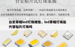 台宏草帽led灯珠规格，led草帽灯珠能代替贴片灯珠吗