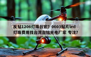 反贴1206灯珠台宏？0603贴片led灯珠费用找台湾台铭光电厂家 专注？