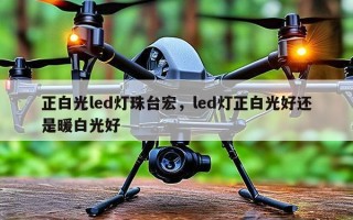 正白光led灯珠台宏，led灯正白光好还是暖白光好