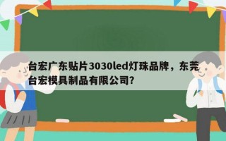 台宏广东贴片3030led灯珠品牌，东莞台宏模具制品有限公司？
