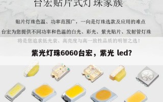 紫光灯珠6060台宏，紫光 led？