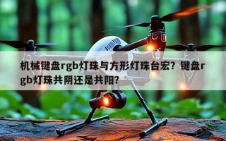 机械键盘rgb灯珠与方形灯珠台宏？键盘rgb灯珠共阴还是共阳？