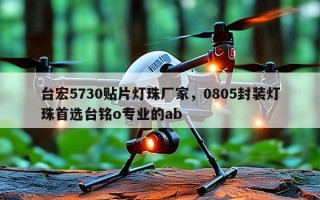 台宏5730贴片灯珠厂家，0805封装灯珠首选台铭o专业的ab