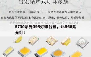 5730紫光395灯珠台宏，tk566紫光灯！