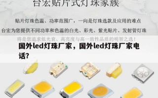 国外led灯珠厂家，国外led灯珠厂家电话？