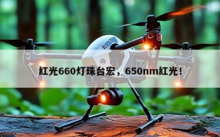 红光660灯珠台宏，650nm红光！