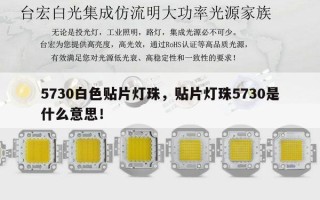 5730白色贴片灯珠，贴片灯珠5730是什么意思！