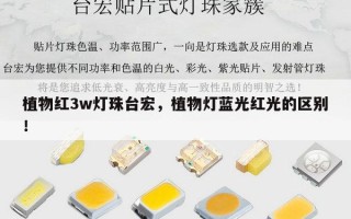 植物红3w灯珠台宏，植物灯蓝光红光的区别！