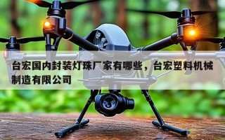 台宏国内封装灯珠厂家有哪些，台宏塑料机械制造有限公司