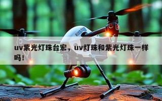 uv紫光灯珠台宏，uv灯珠和紫光灯珠一样吗！