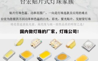 国内做灯珠的厂家，灯珠公司！