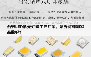 台宏LED紫光灯珠生产厂家，紫光灯珠哪家品牌好？