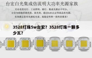 3528灯珠5w台宏？3528灯珠一颗多少瓦？