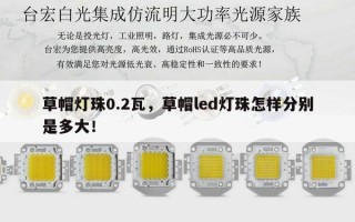 草帽灯珠0.2瓦，草帽led灯珠怎样分别是多大！