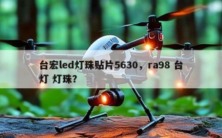 台宏led灯珠贴片5630，ra98 台灯 灯珠？