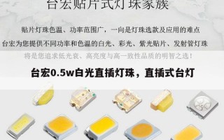 台宏0.5w白光直插灯珠，直插式台灯