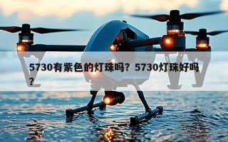 5730有紫色的灯珠吗？5730灯珠好吗？