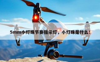 5mm小灯珠节奏指示灯，小灯珠是什么！