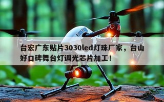 台宏广东贴片3030led灯珠厂家，台山好口碑舞台灯调光芯片加工！