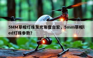 5MM草帽灯珠发光角度台宏，5mm草帽led灯珠参数？