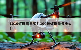 1010灯珠哪里买？100颗灯珠是多少w？