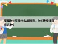 草帽led灯珠什么品牌亮，led草帽灯珠有几种？