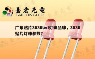 广东贴片3030led灯珠品牌，3030贴片灯珠参数？