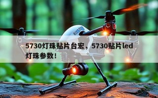 5730灯珠贴片台宏，5730贴片led灯珠参数！