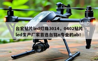 台宏贴片led灯珠3014，0402贴片led生产厂家首选台铭n专业的ab！