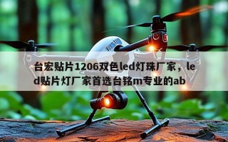 台宏贴片1206双色led灯珠厂家，led贴片灯厂家首选台铭m专业的ab