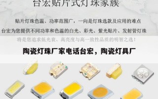 陶瓷灯珠厂家电话台宏，陶瓷灯具厂