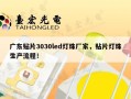 广东贴片3030led灯珠厂家，贴片灯珠生产流程！