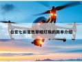 台宏七彩变色草帽灯珠的简单介绍