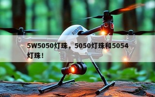5W5050灯珠，5050灯珠和5054灯珠！