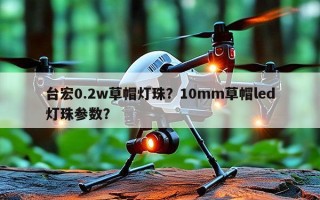 台宏0.2w草帽灯珠？10mm草帽led灯珠参数？