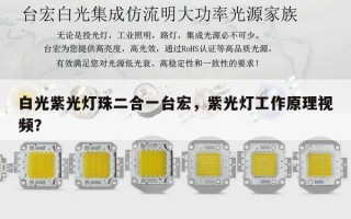 白光紫光灯珠二合一台宏，紫光灯工作原理视频？