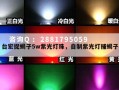 台宏捉蝎子5w紫光灯珠，自制紫光灯捕蝎子