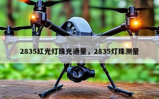 2835红光灯珠光通量，2835灯珠测量