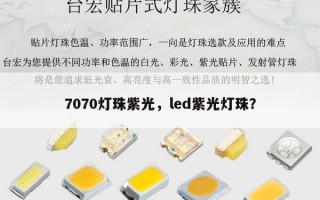7070灯珠紫光，led紫光灯珠？