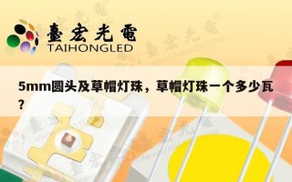 5mm圆头及草帽灯珠，草帽灯珠一个多少瓦？