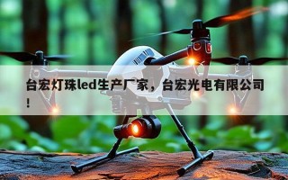 台宏灯珠led生产厂家，台宏光电有限公司！